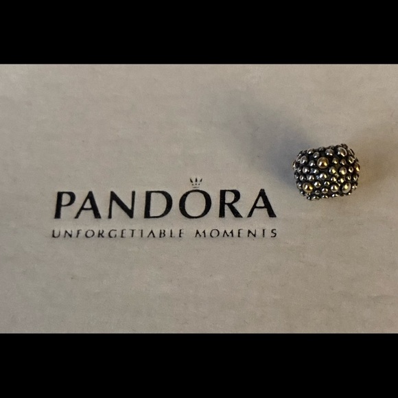 Pandora Jewelry - Pandora ‘Moss’ two toned charm